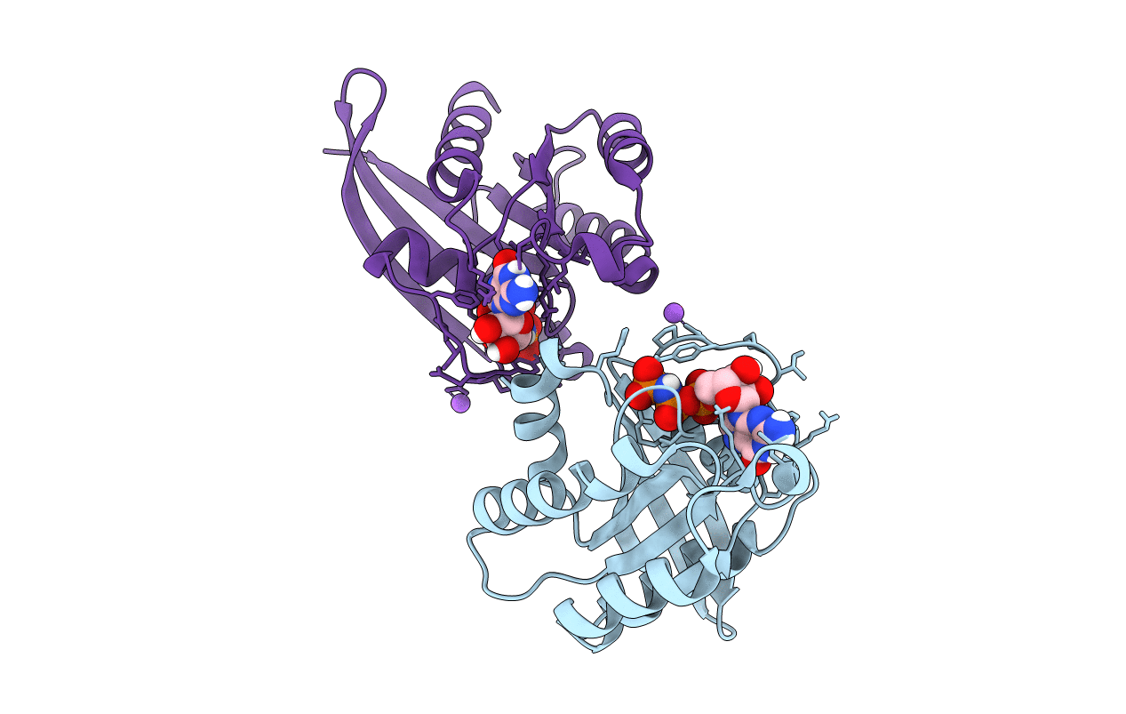 5WDR image