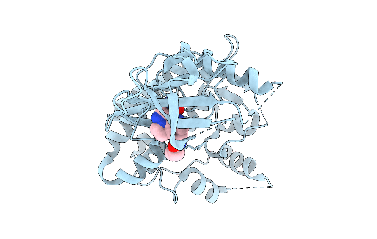 5WFJ image