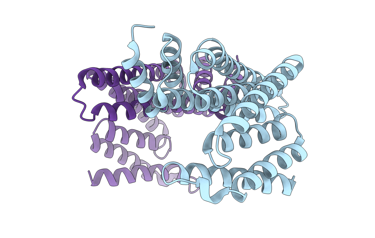 5WFX image