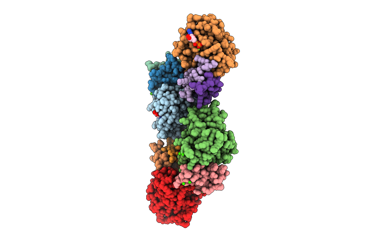 5WHB image