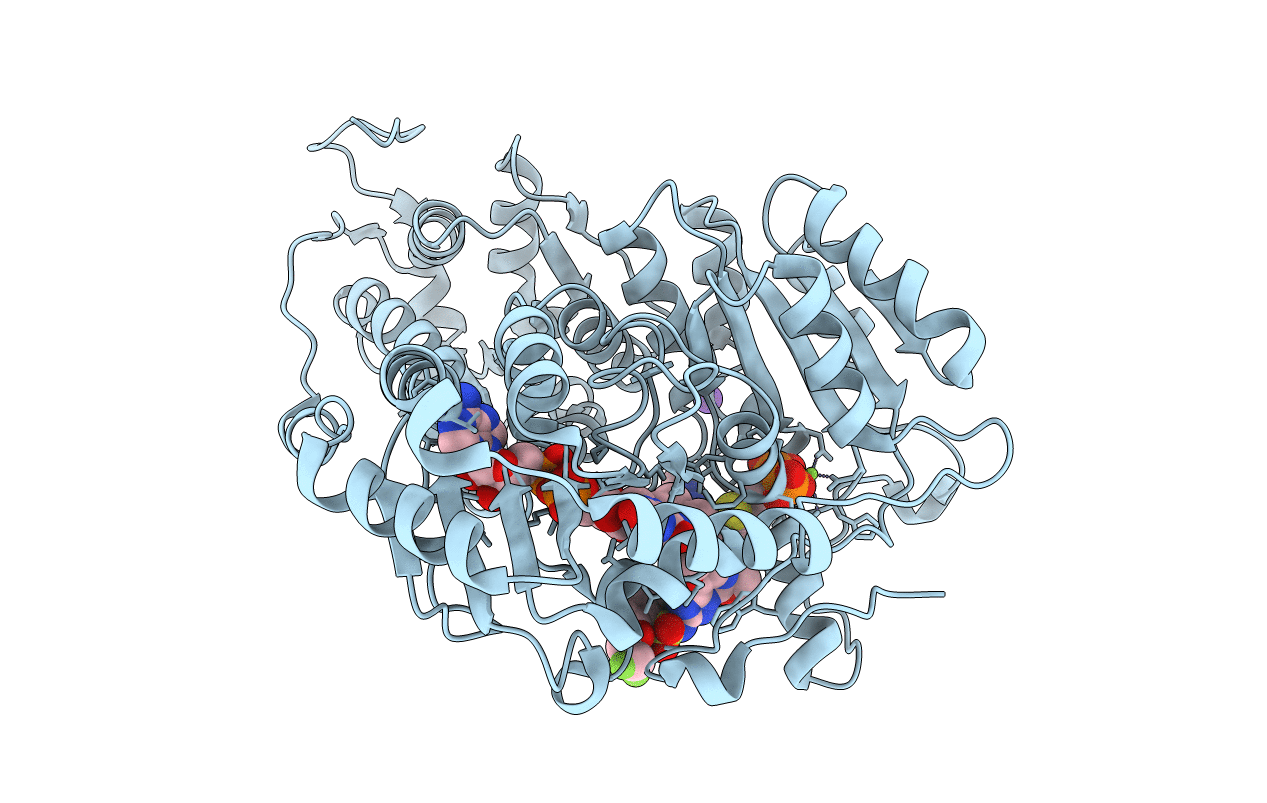 5WJ1 image