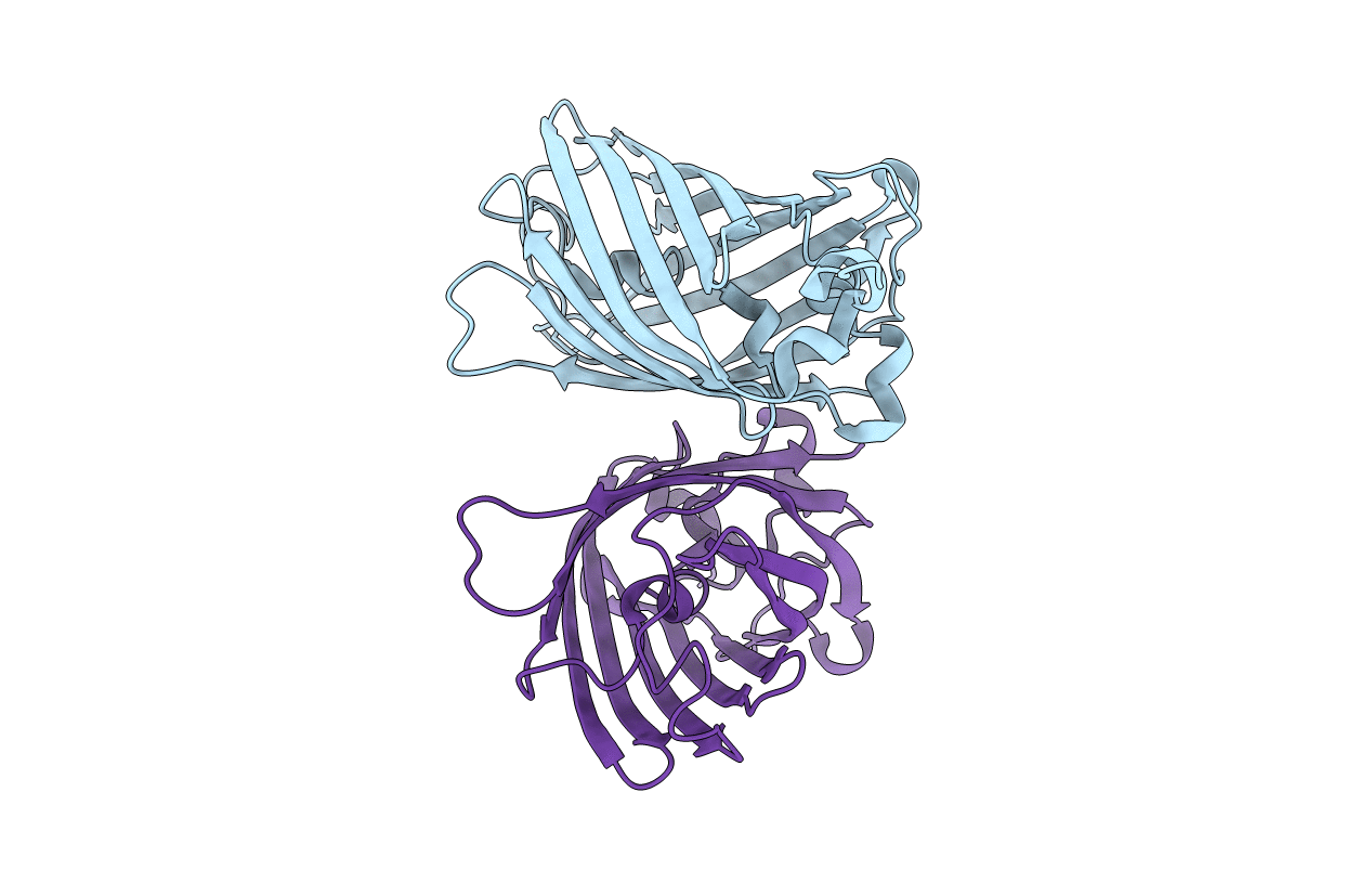 5WJ2 image