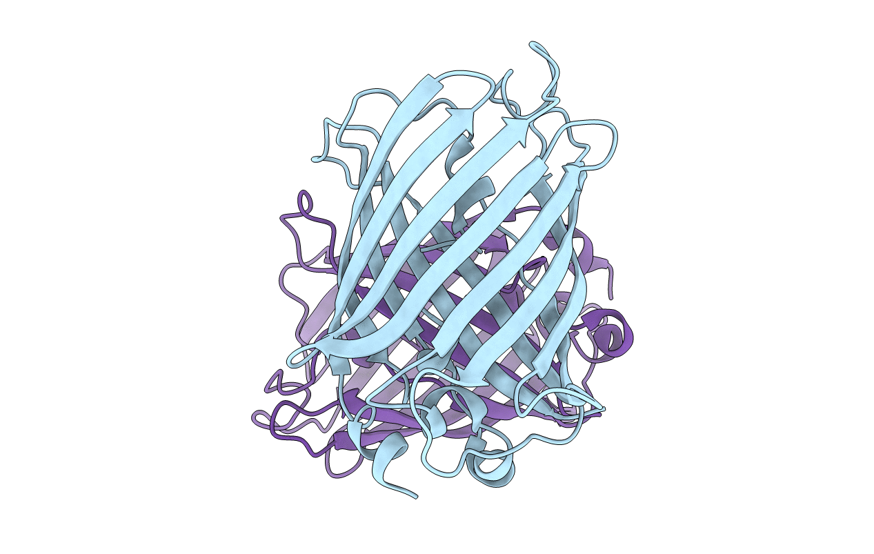 5WJ3 image