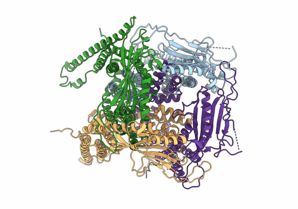 5WJ5 image