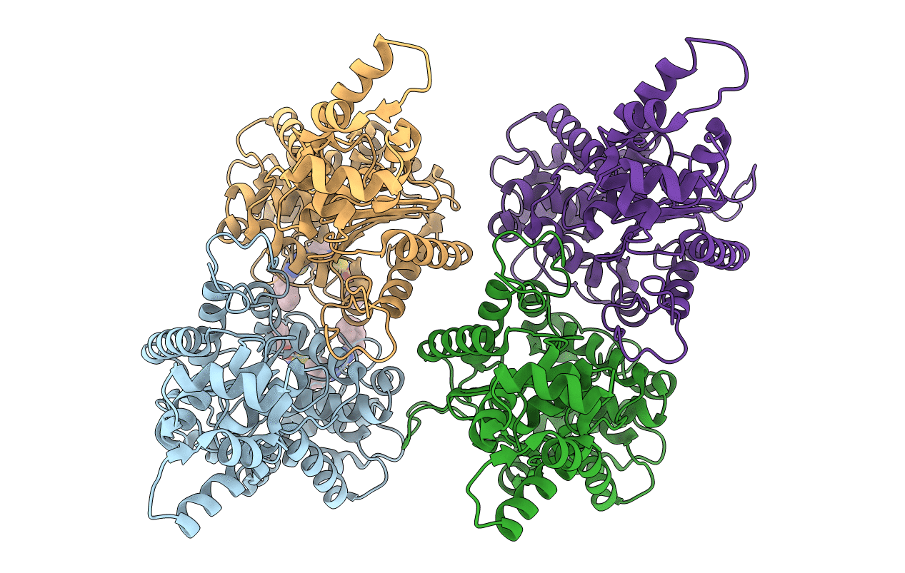 5WJ6 image