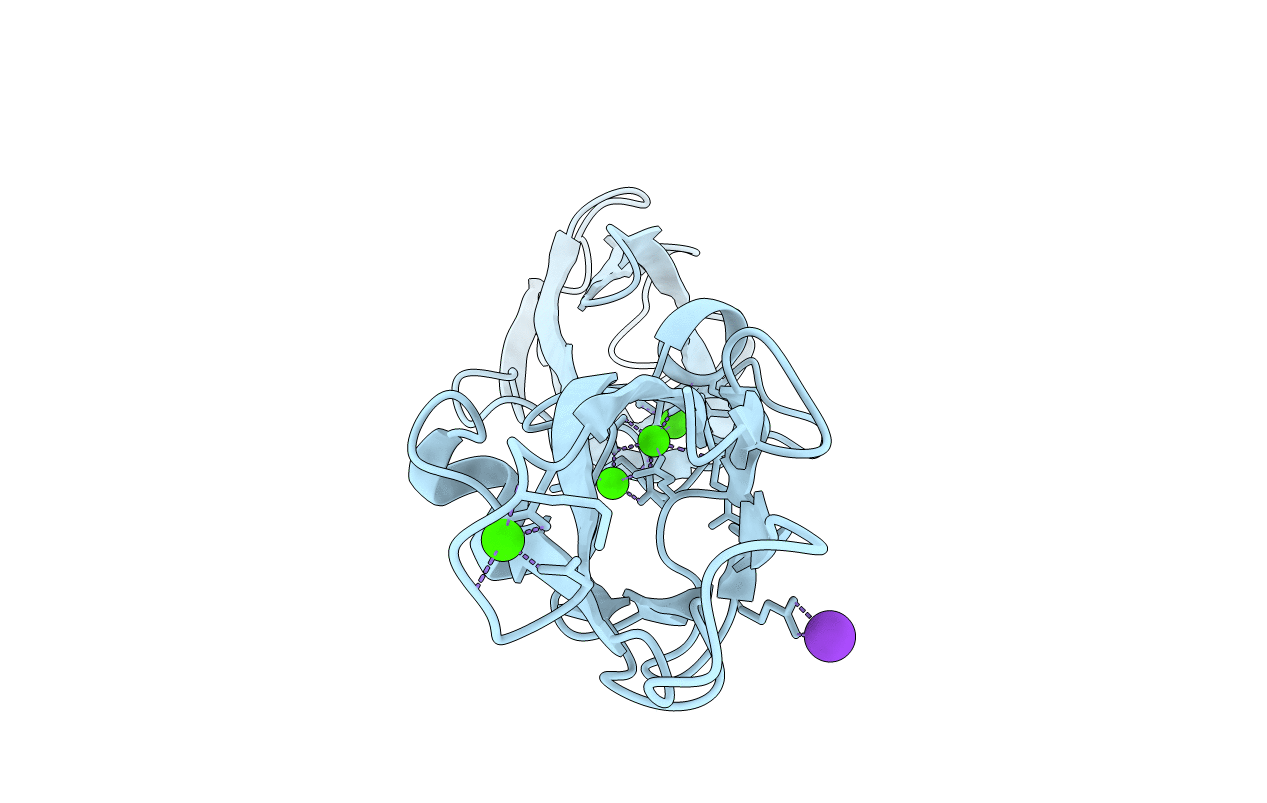 5WJ8 image