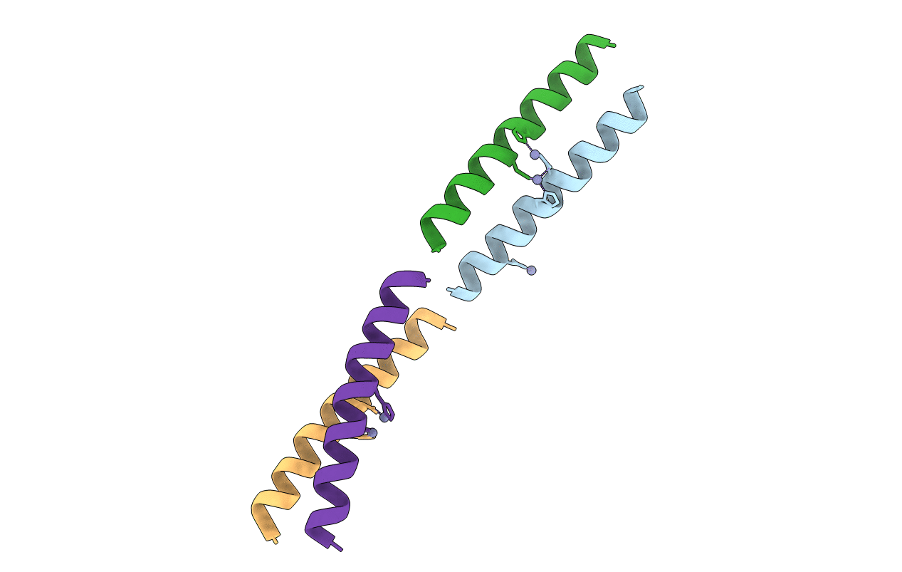 5WLM image