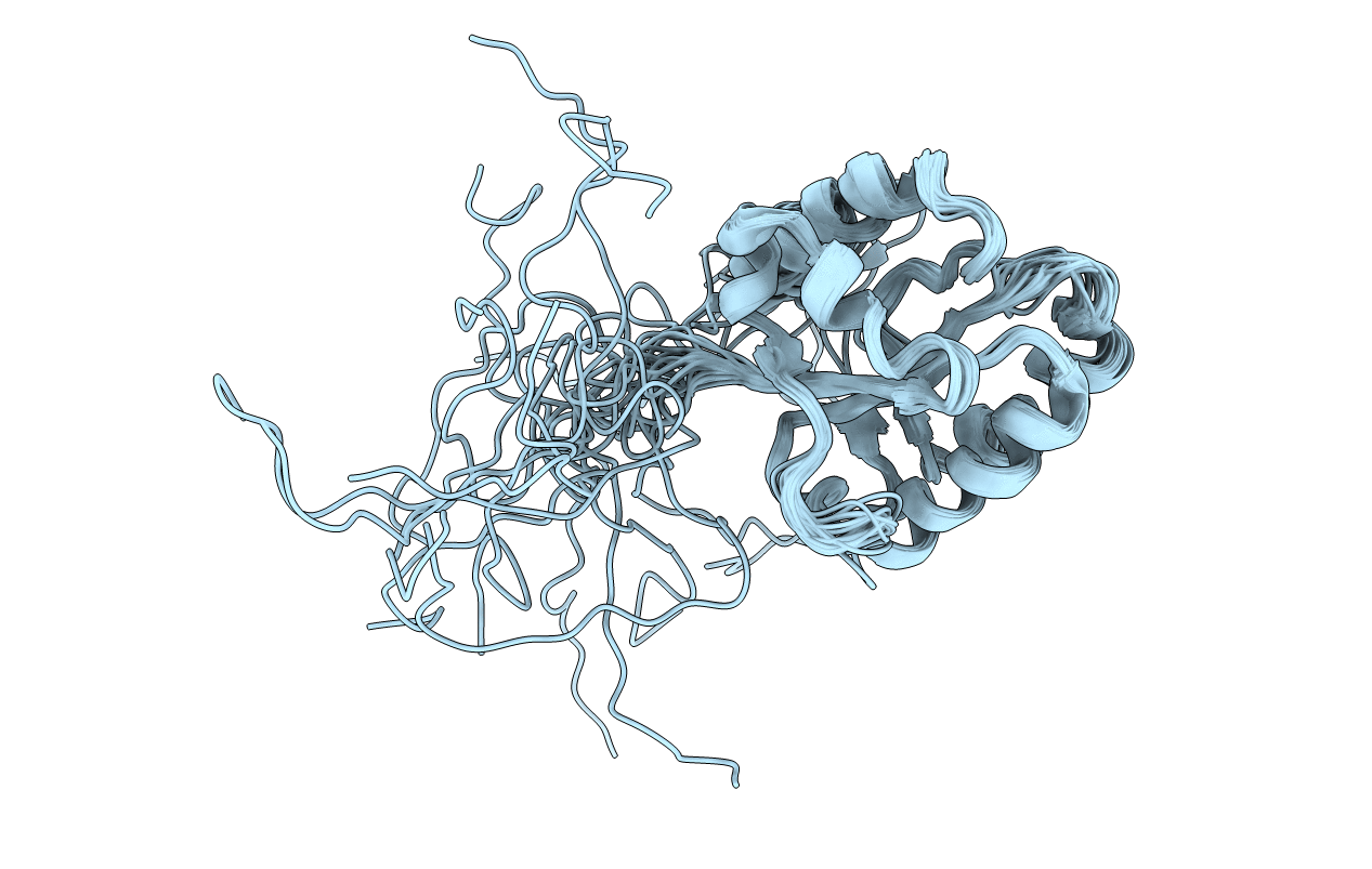 5WLP image