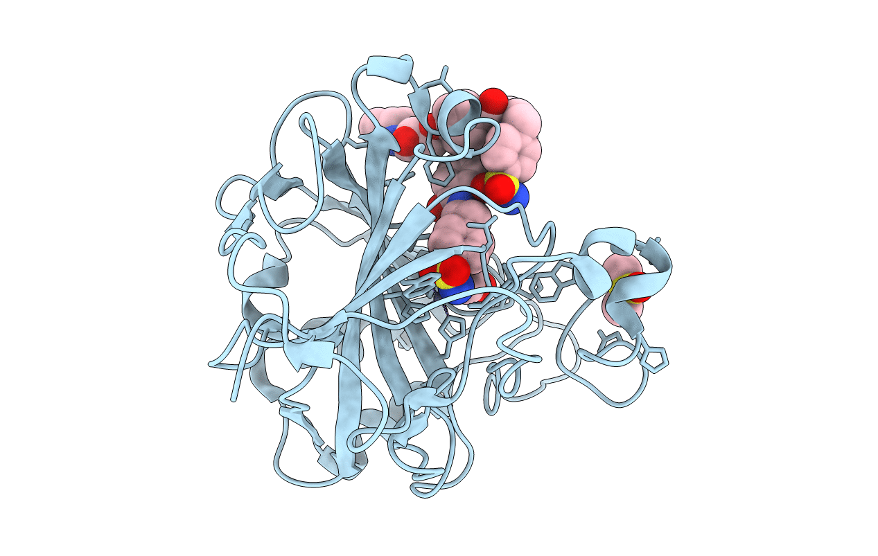 5WLV image