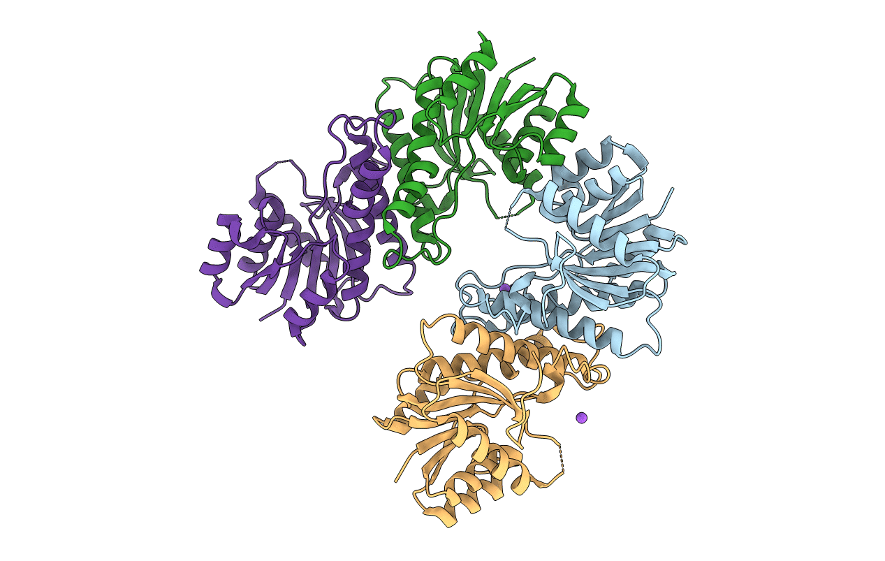 5WQM image