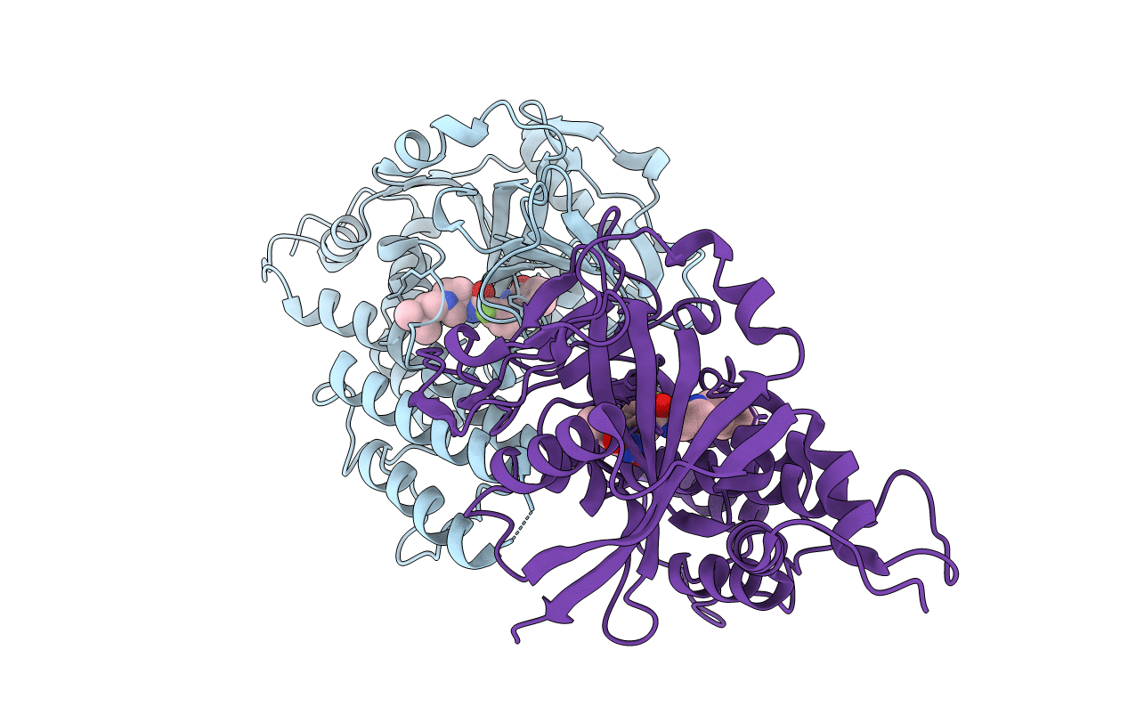 5WRQ image