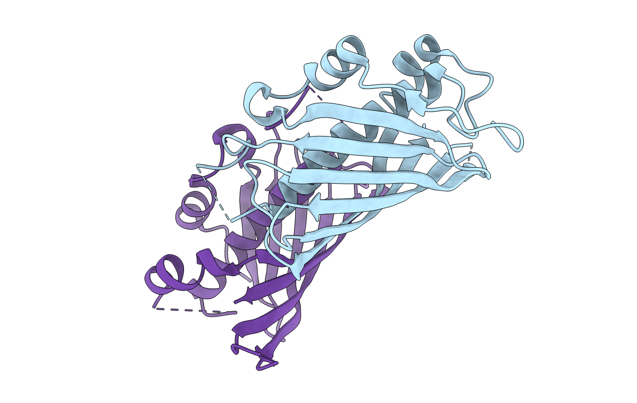 5WSX image