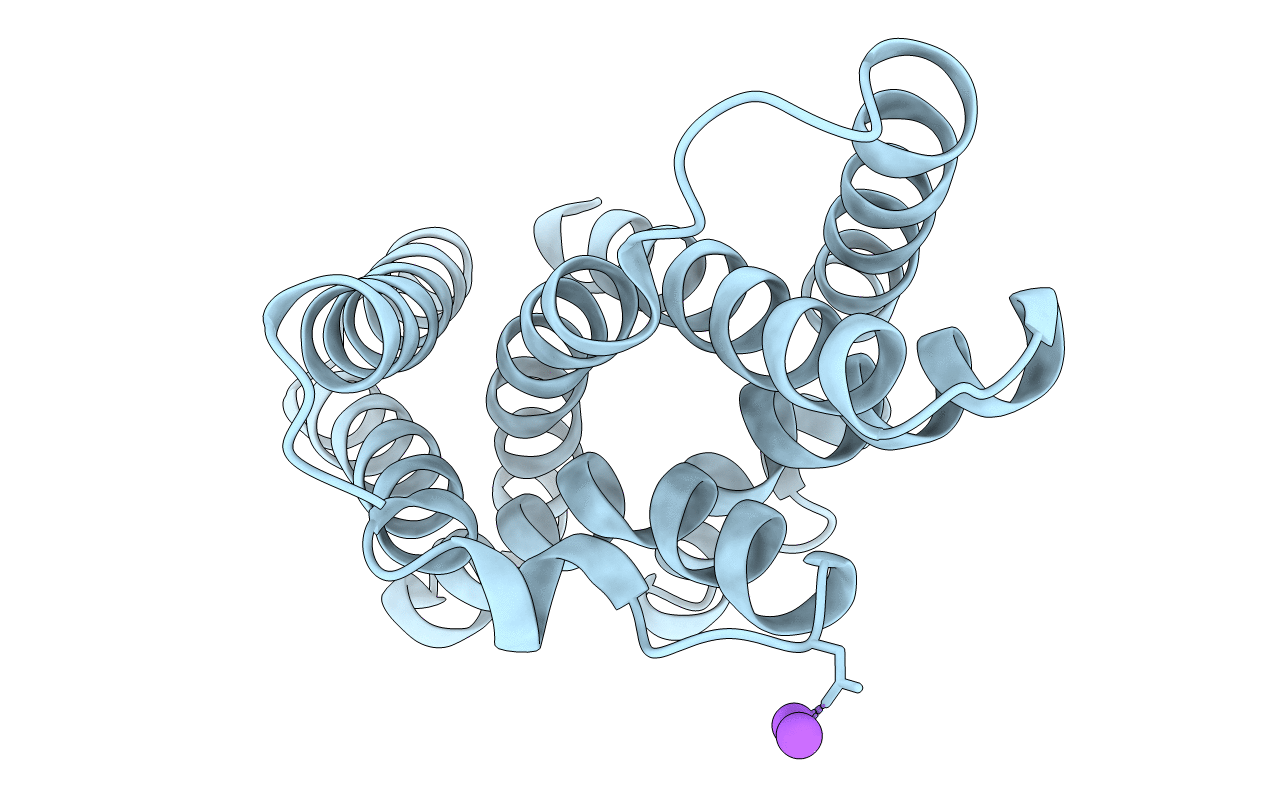 5WUC image