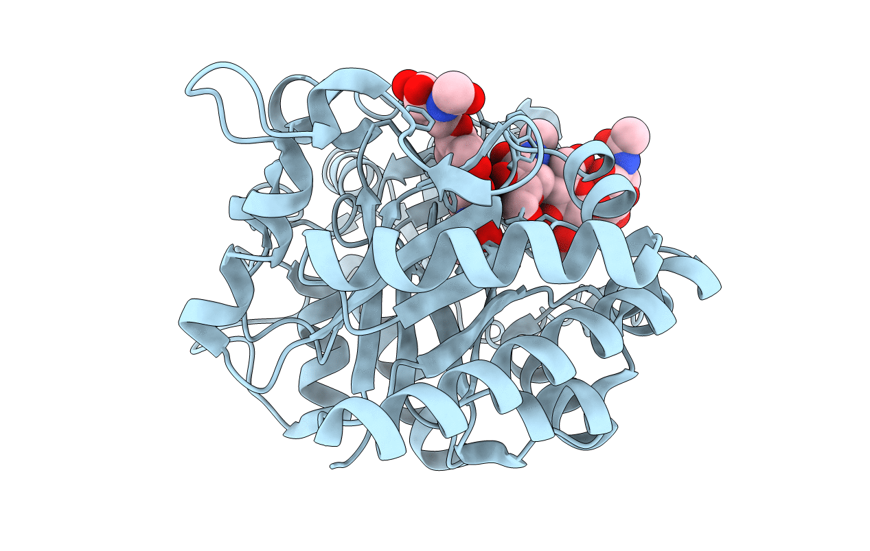 5WV9 image