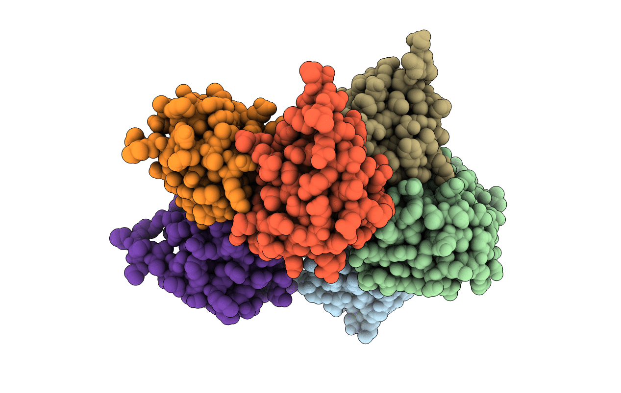 5WVC image
