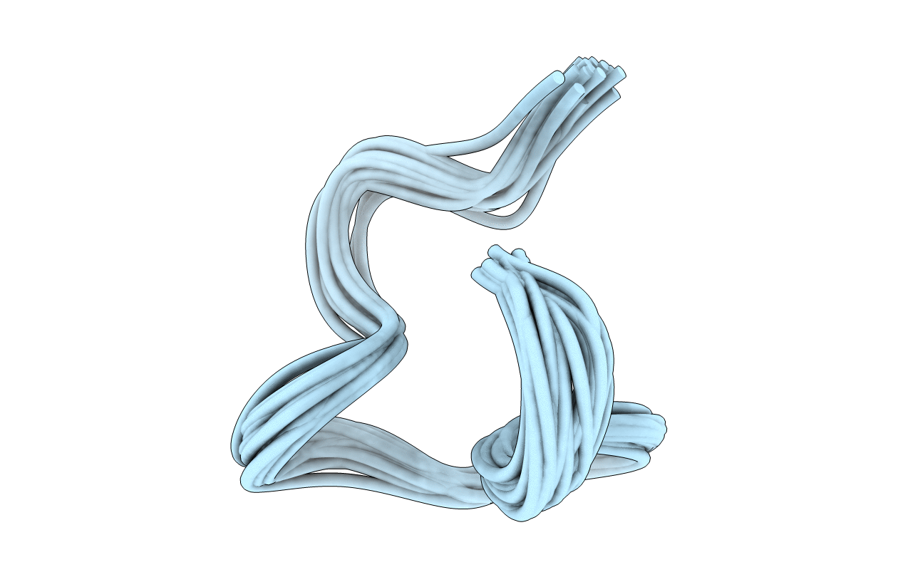 5WYE image