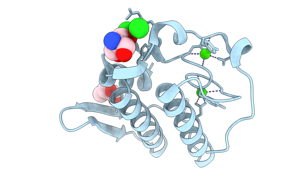 5WZM image