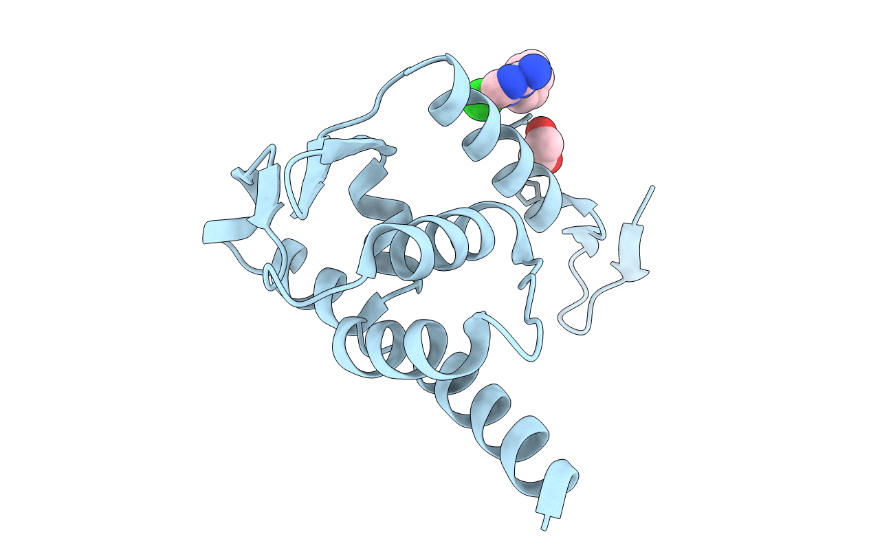 5X4N image
