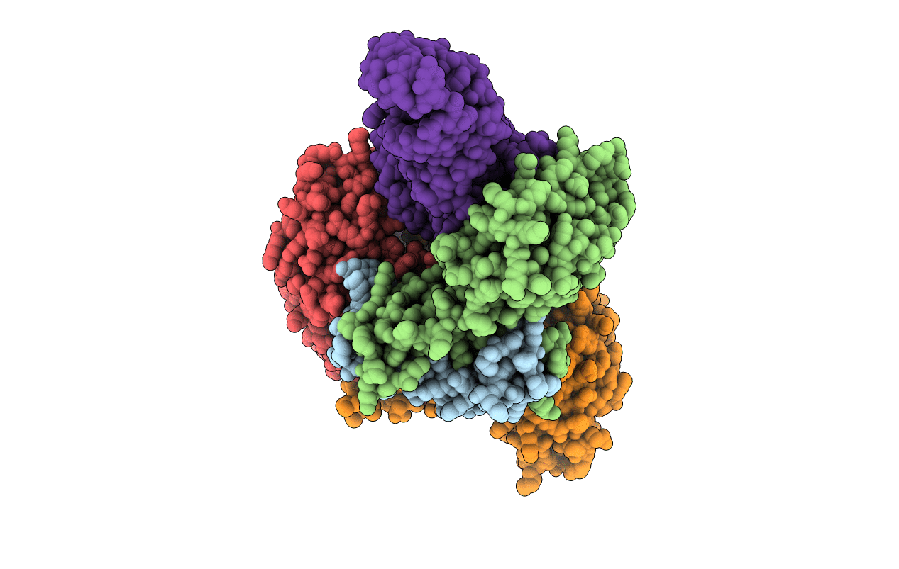 5X6B image