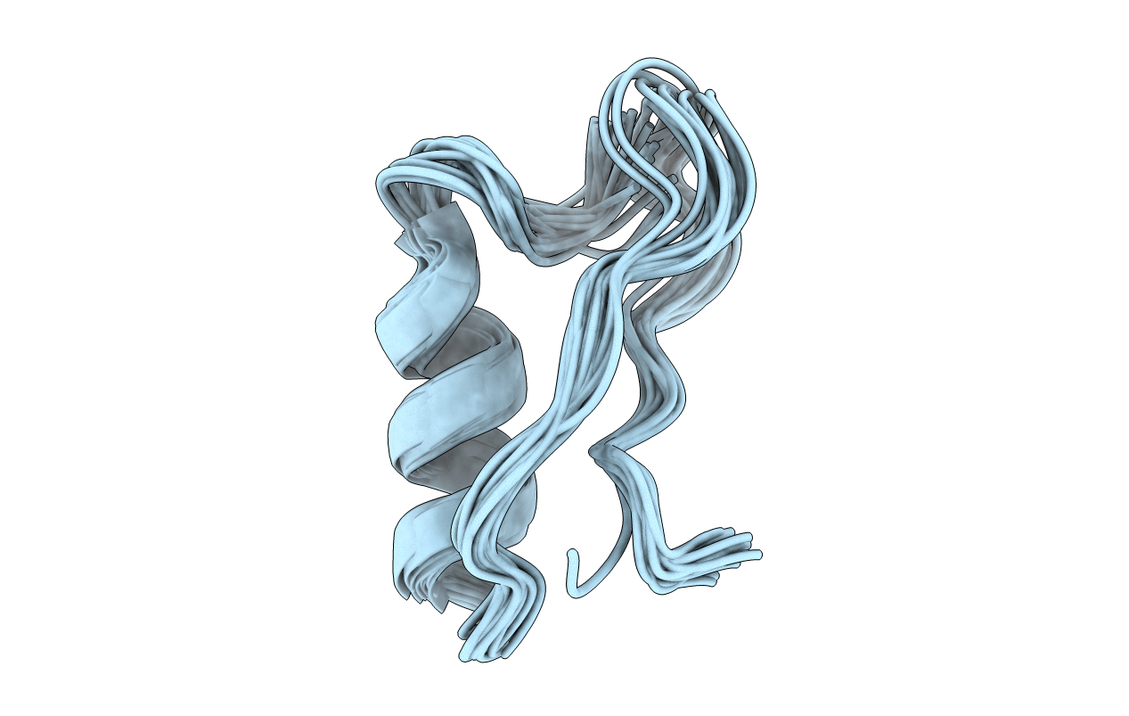 5XA6 image