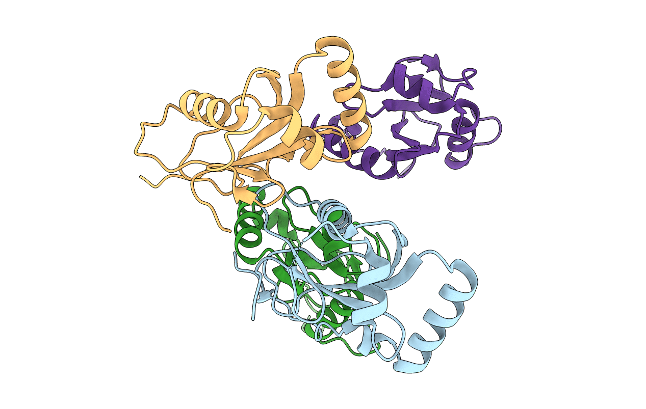 5XAE image
