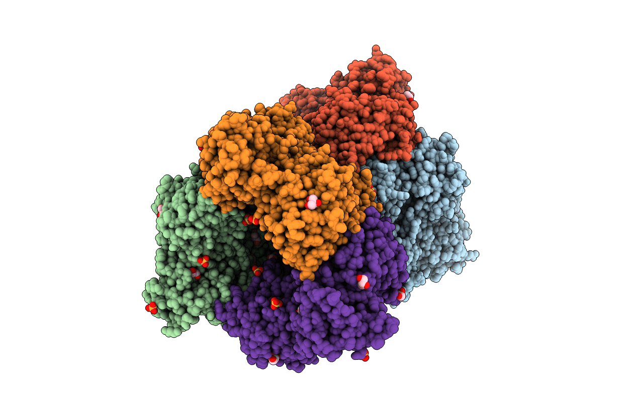 5XB7 image