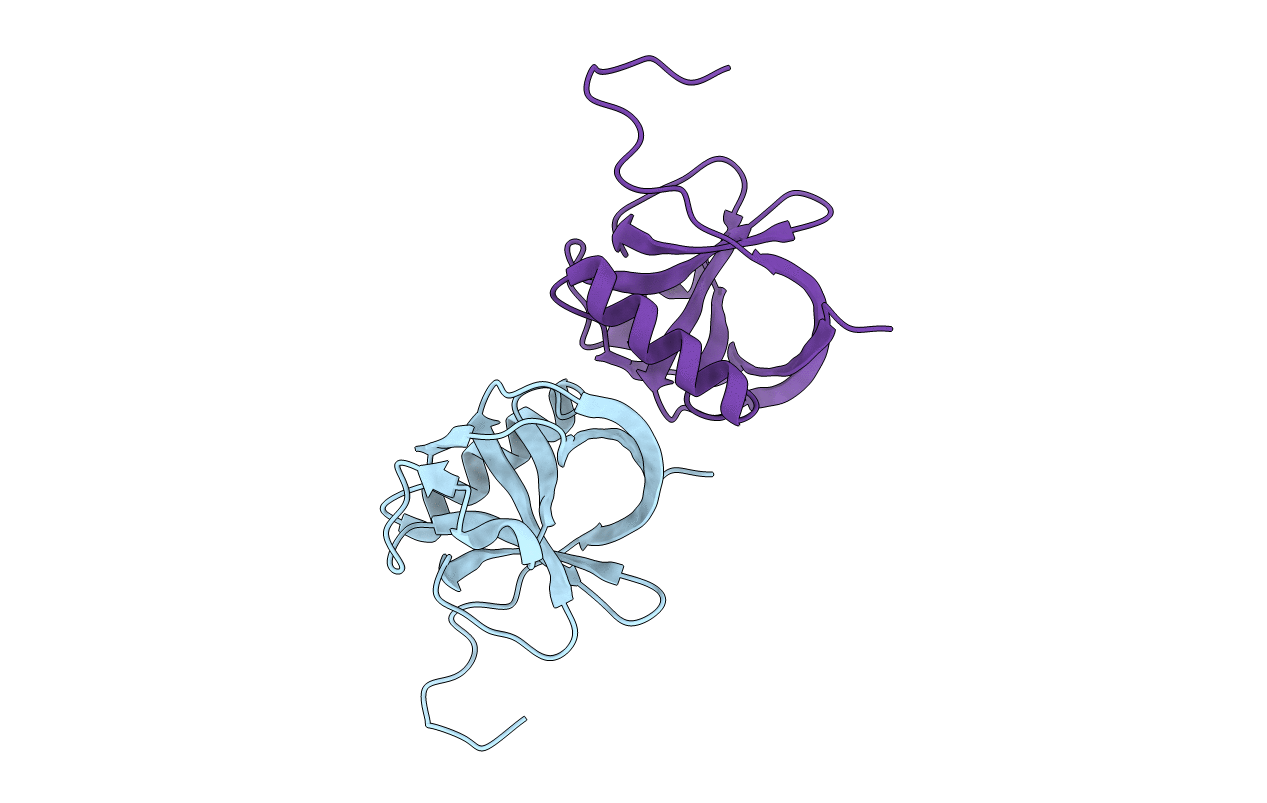 5XBC image