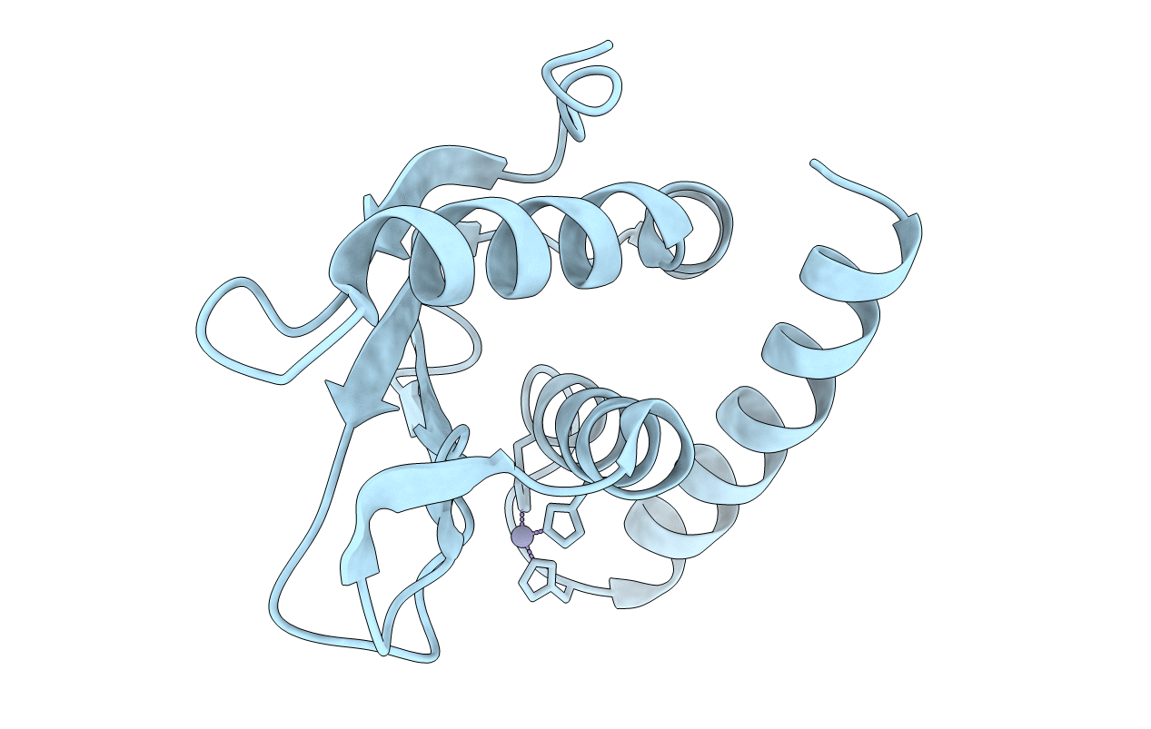 5XBN image
