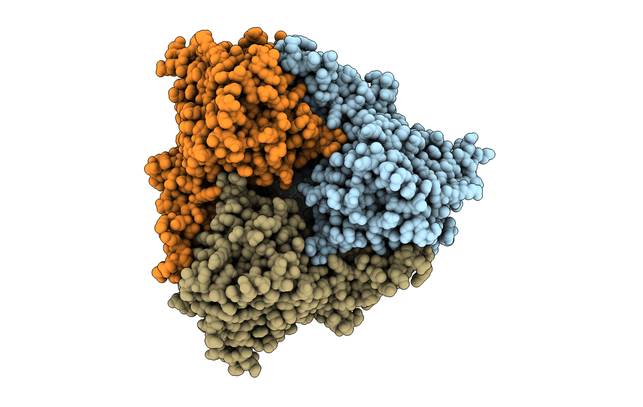 5XBP image