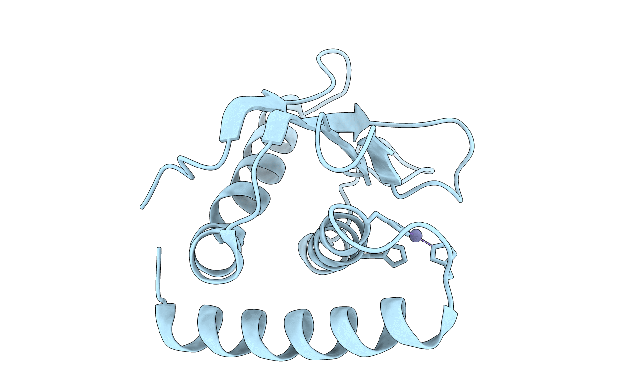 5XBV image