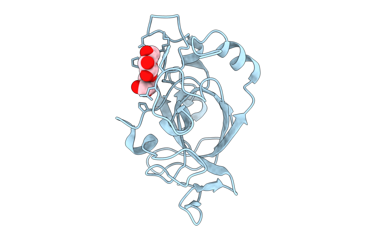 5XCA image