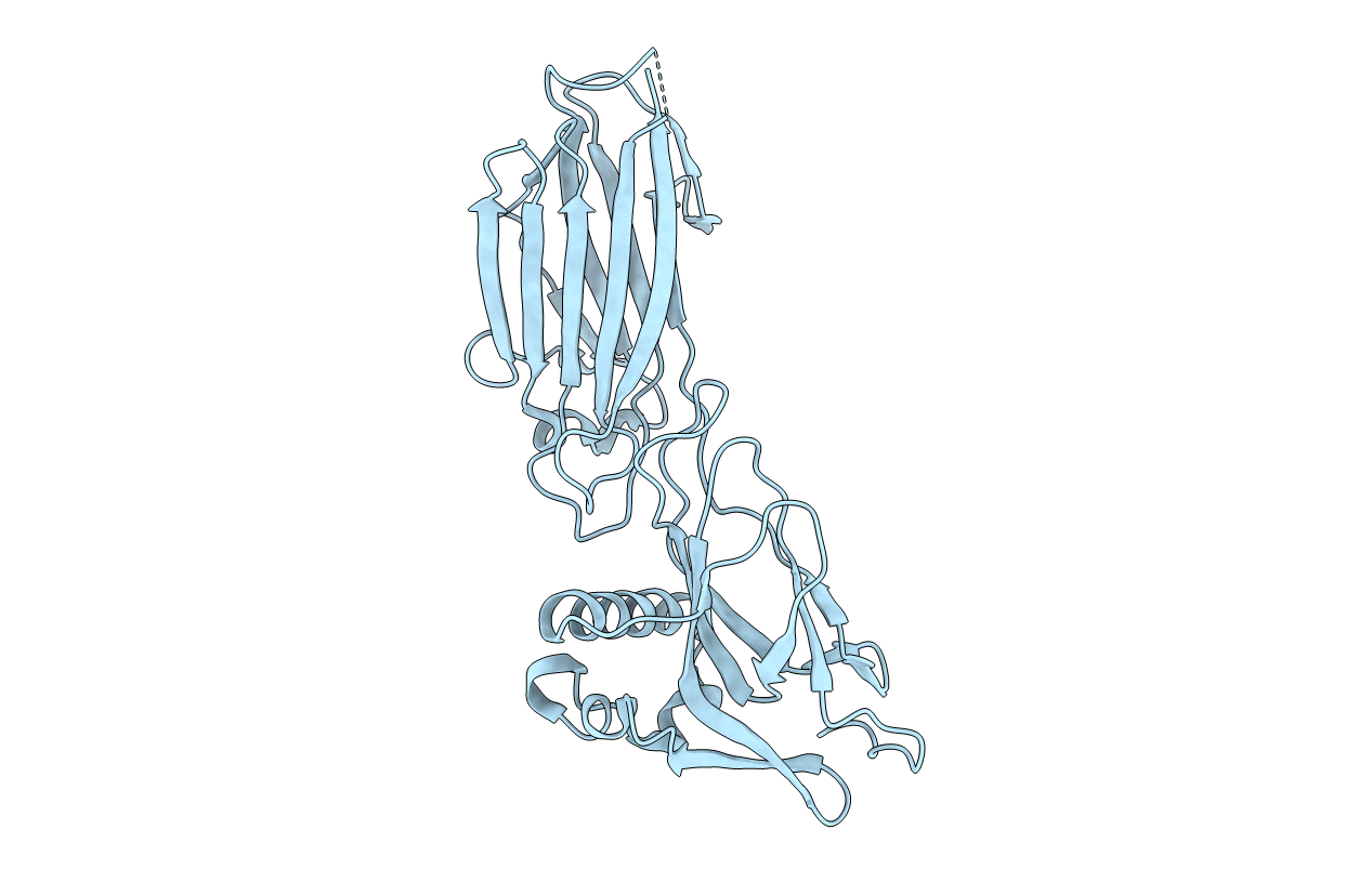 5XCB image