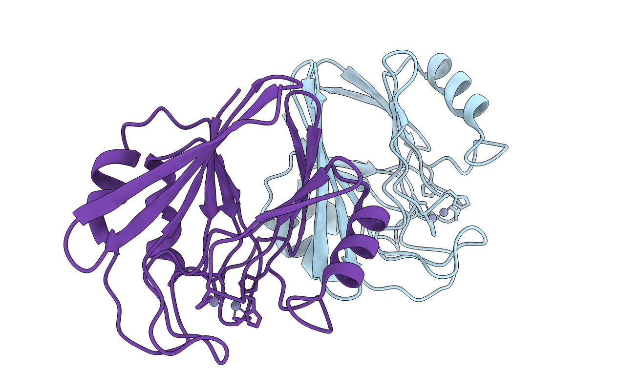 5XCH image