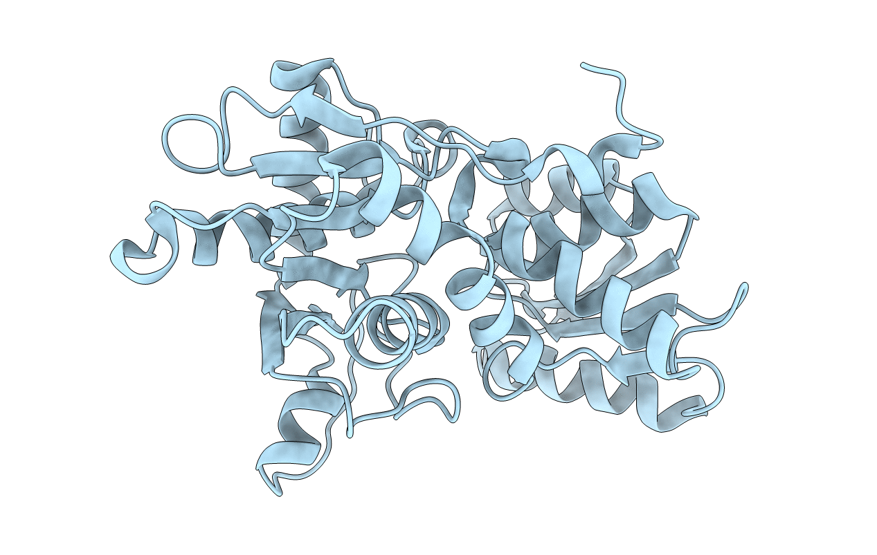 5XCP image