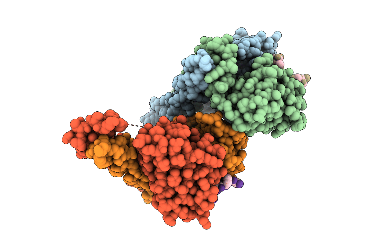 5XCR image