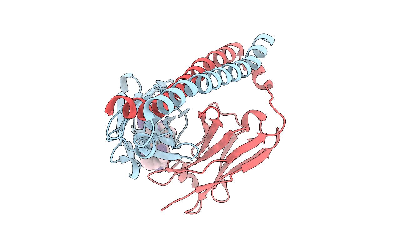 5XCT image