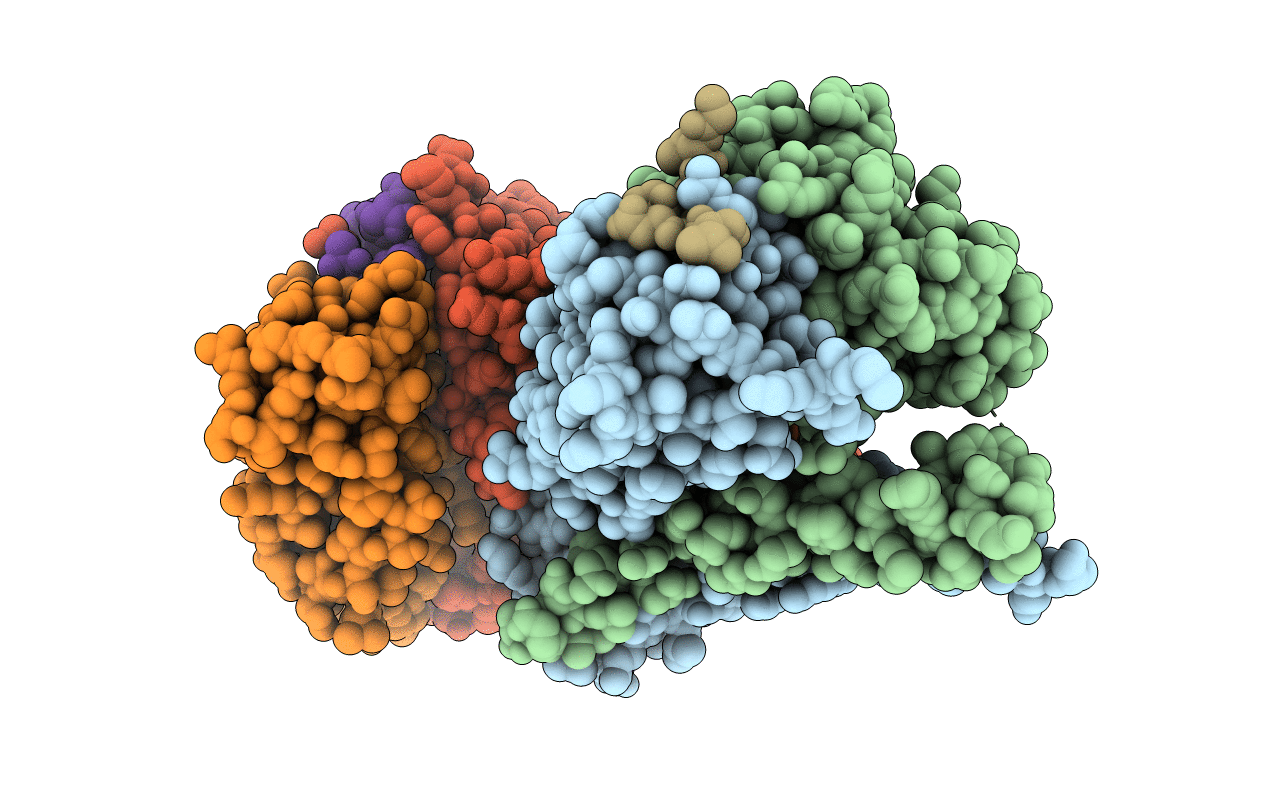 5XCV image