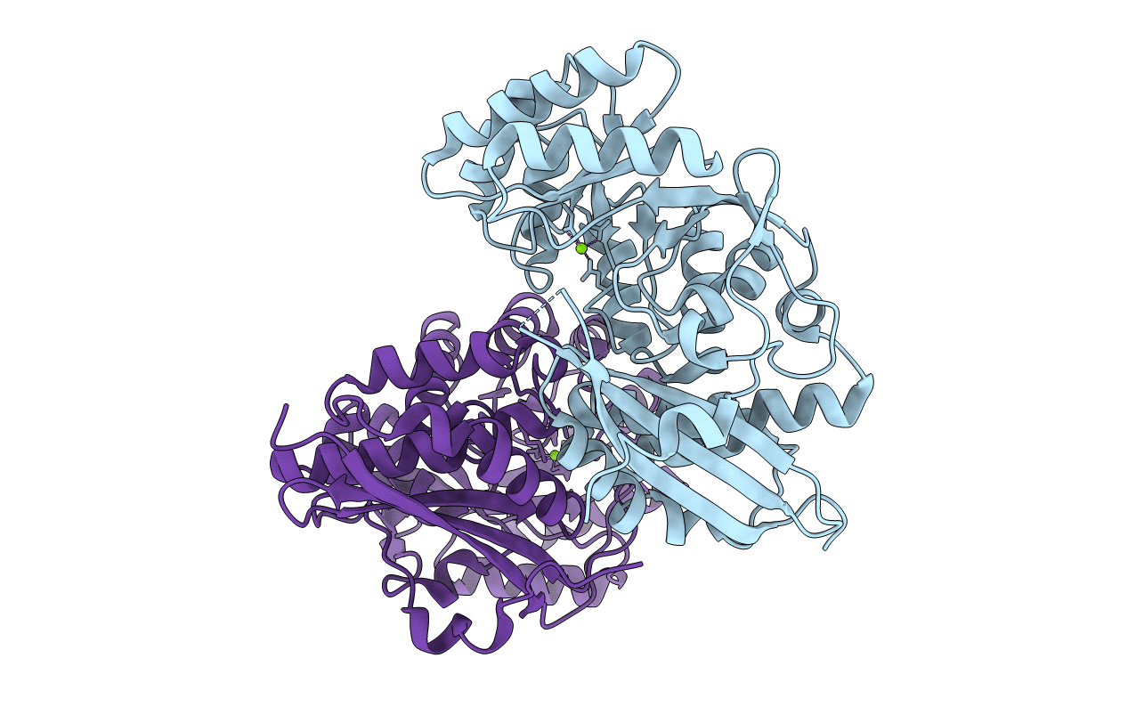 5XD8 image