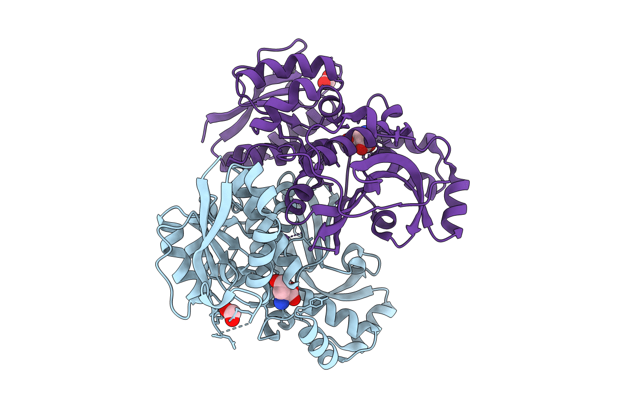 5XDF image