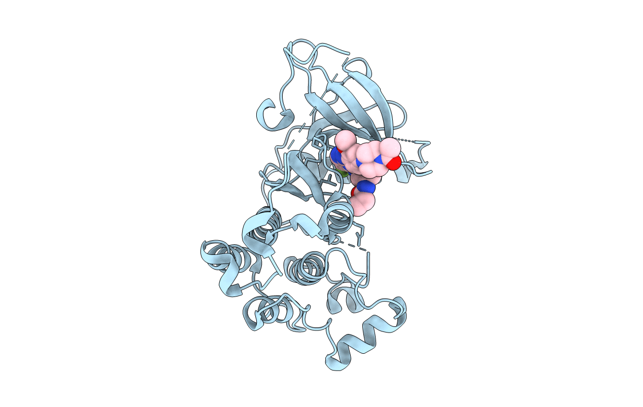 5XDL image