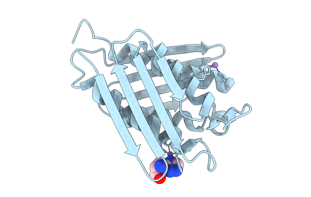 5XDS image