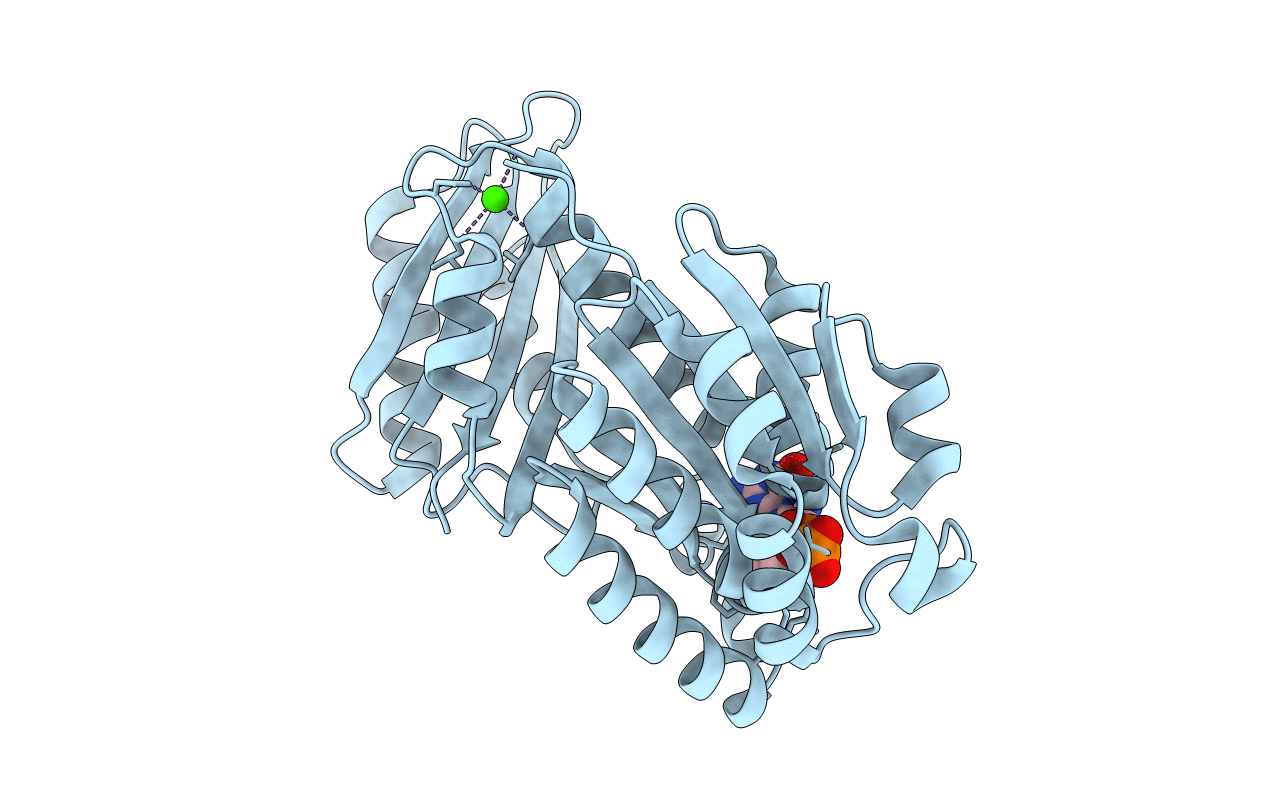 5XDW image