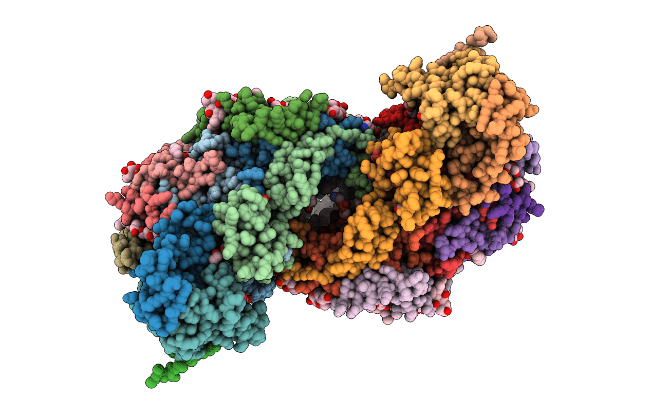 5XDX image