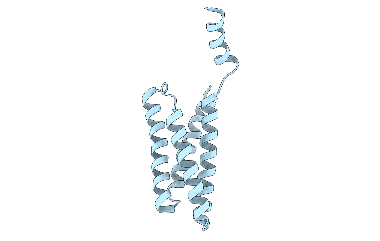 5XEF image