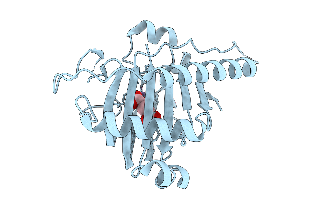 5XEG image