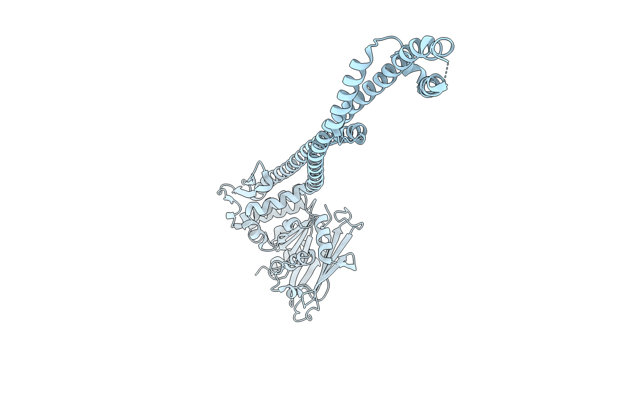 5XEI image