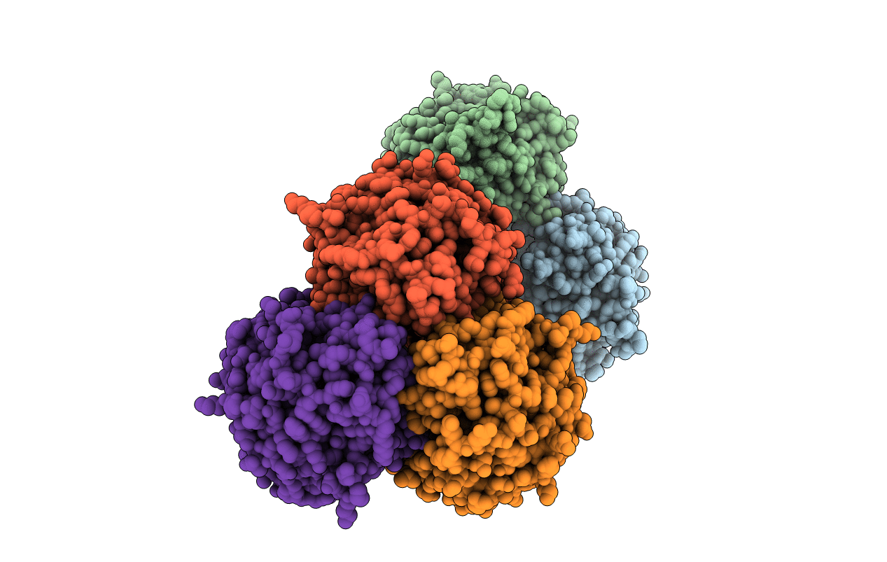 5XEP image