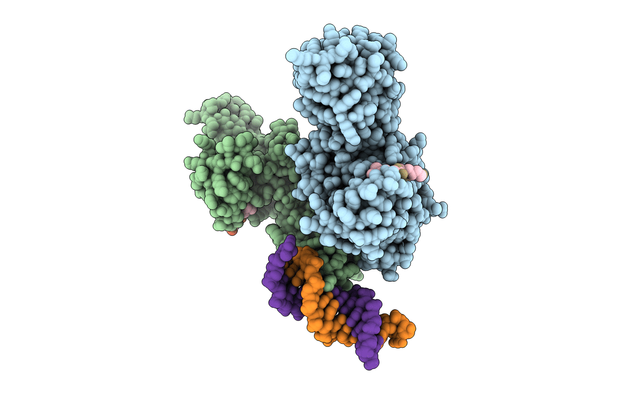 5XFR image