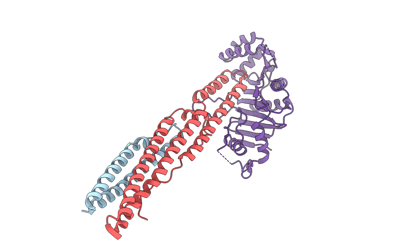 5XFS image