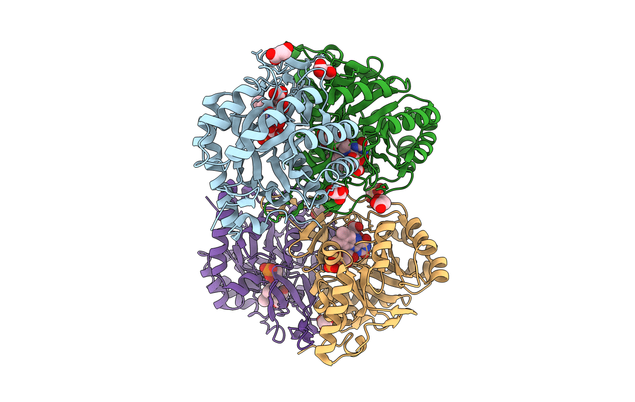 5XFV image
